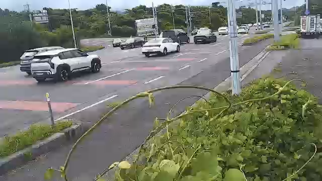 번영로대흘 실시간 CCTV 최신 화면