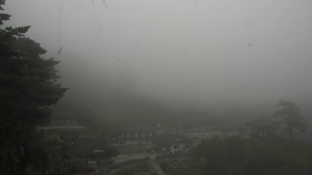 치악산 실시간 CCTV 최신 화면