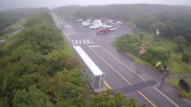 1100도로 최신 CCTV 화면